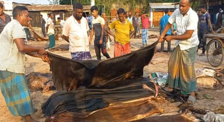 চামড়ার বাজারে ধস, হতাশ ব্যবসায়ীরা