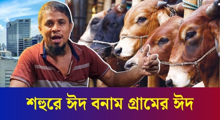 শহরের কোরবানির ঈদ আর গ্রামের কোরবানির ঈদ যেমন হয়