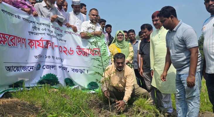 গাছ পরিবেশের ভারসাম্য রক্ষা করে: জাকির