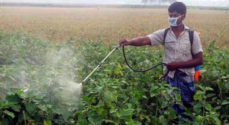 ফসলের উৎপাদন বাড়াতে কীটনাশকের যথেচ্ছ ব্যবহারে হুমকিতে জনস্বাস্থ্য