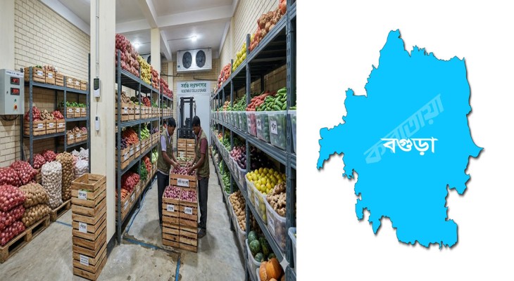 বগুড়ায় সংরক্ষণাগার না থাকায় নষ্ট হচ্ছে ৪শ’কোটি টাকার সবজি, বছরে উৎপাদন দুই হাজার কোটি টাকা