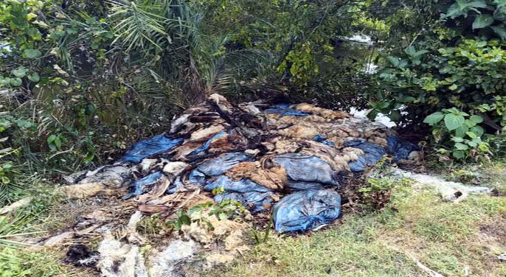 নওগাঁর সাপাহারে রাস্তার পাশে পশুর চামড়ার স্তুপ, দুর্গন্ধে তেষ্ঠা দায়
