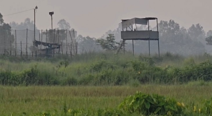 জয়পুরহাটের পাঁচবিবি সীমান্তে বিজিবি ও গ্রামবাসীর প্রতিরোধ, পুশব্যাকের চেষ্টা ব্যর্থ, বৃদ্ধকে ফেরাল বিএসএফ