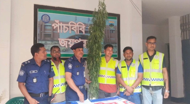 জয়পুরহাটের পাঁচবিবিতে ৩ কেজি ওজনের গাঁজার গাছ উদ্ধার