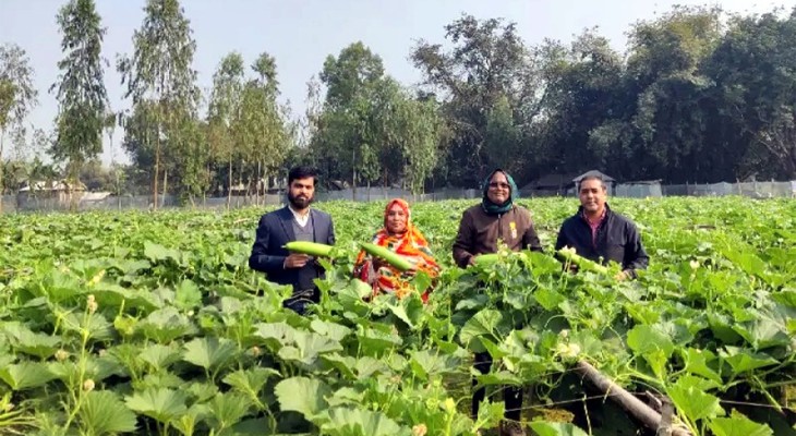 উন্নত জাতের লাউ চাষ করে সফল দিনাজপুরের মিজানুর
