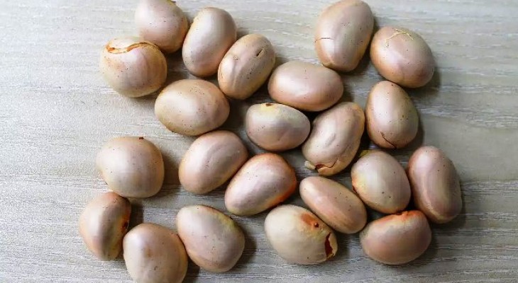 কাঁঠাল বীজের যত পুষ্টিগুণ