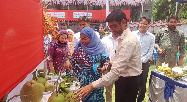 পঞ্চগড়ে ৩ দিনব্যাপী জাতীয় ফল মেলা শুরু 