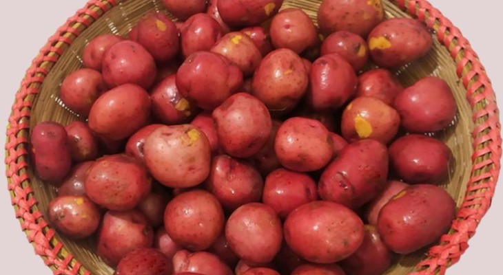 লাল আলুর স্বাস্থ্য উপকারিতা