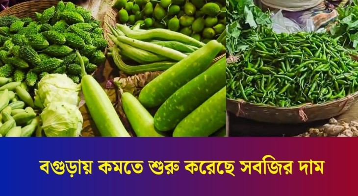 সাপ্তাহিক বাজার দর: বগুড়ায় কমতে শুরু করেছে সবজি ও নিত্য প্রয়োজনীয় দ্রব্যের দাম