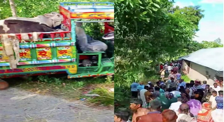বগুড়ার নন্দীগ্রামে ভটভটি-সাইকেল সংঘর্ষ: নিহত ২ আহত ৪