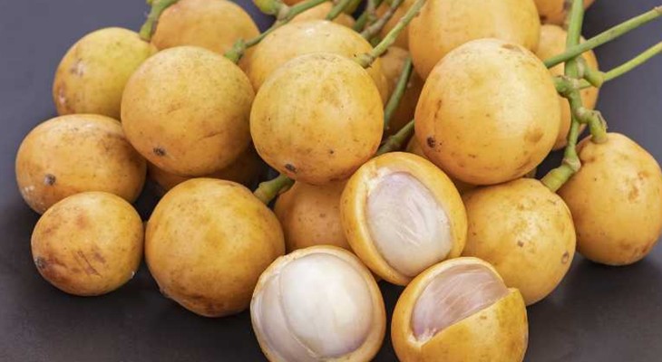 টক-মিষ্টি স্বাদের লটকন, কেন পুষ্টিকর?