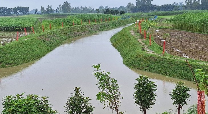 অন্তার খাল পুনঃখননে ঠাকুরগাঁওয়ের পীরগঞ্জে কৃষিতে ফিরেছে স্বস্তি