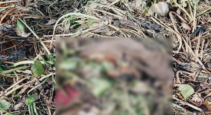 বগুড়ায় জমি থেকে এক বক্তির গলিত লাশ উদ্ধার, পুলিশ বলছে হত্যাকান্ড
