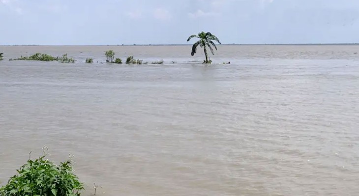 আগ্রাসী পদ্মায় একের পর এক বিলীন হচ্ছে স্থাপনা