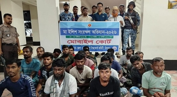 চাঁদপুরে নিষেধাজ্ঞায় ইলিশ শিকার, ২২ দিনে আটক ৬৪৬ জেলে