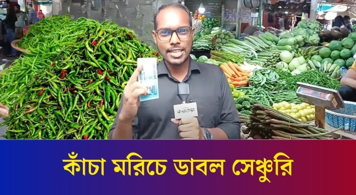 বগুড়ার বাজারে কাঁচা মরিচে ডাবল সেঞ্চুরি | Bogura Bazar | Price Hike | Green Chilli | Daily Karatoa