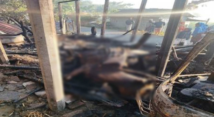 নাটোরের বড়াইগ্রামে অগ্নিকাণ্ডে কৃষকের ৫ গবাদিপশুর মৃত্যু