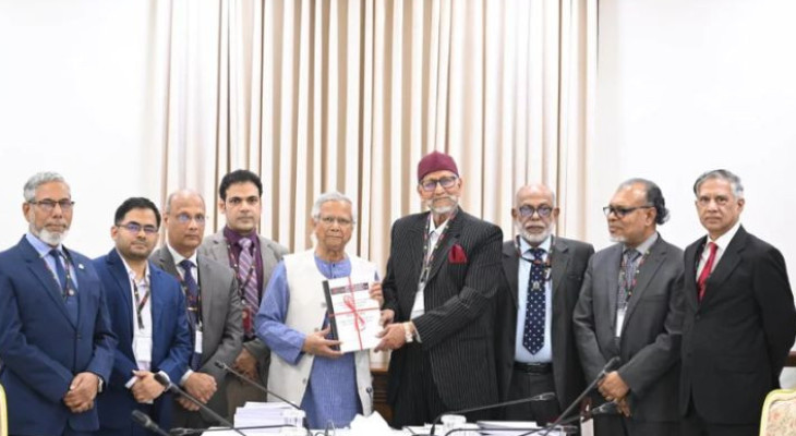 বিডিআর হত্যাকাণ্ডে জড়িত আ.লীগ, মূল সমন্বয়কারী তাপস: কমিশন