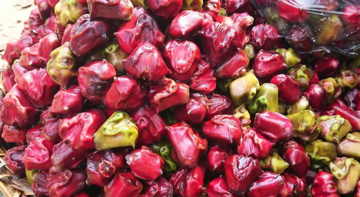 পানিফল খাওয়ার উপকারিতা