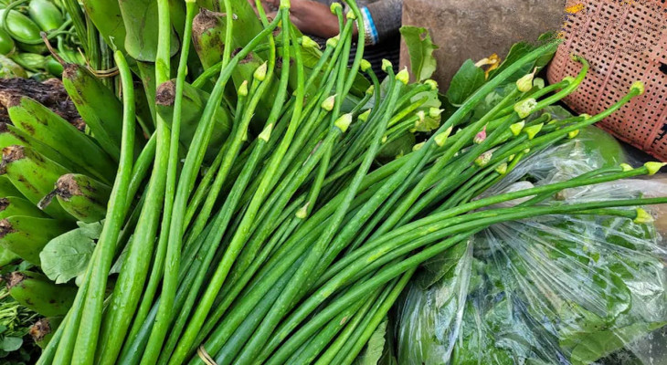 ক্যানসার দূরে রাখে পেঁয়াজকলি! আরও কত রোগের জম জেনে নিন