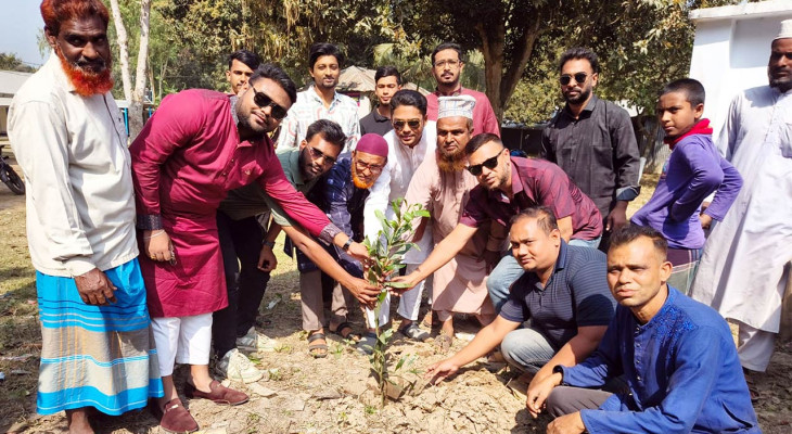 বগুড়ার শেরপুরে বিজয় মিছিলের বদলে বিএনপির বৃক্ষরোপণ কর্মসূচি