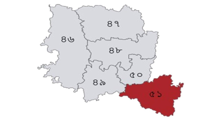 নওগাঁ-৬ আসনে বিএনপি ও জামায়াতের গণমিছিল