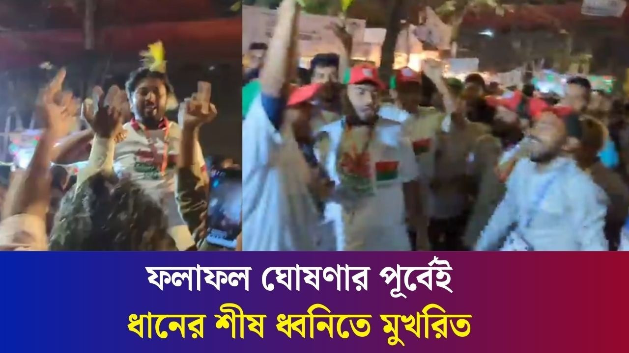 ফলাফল ঘোষণার পূর্বেই ঢাকা-১৭ আসনে ধানের শীষ ধ্বনিতে মুখরিত