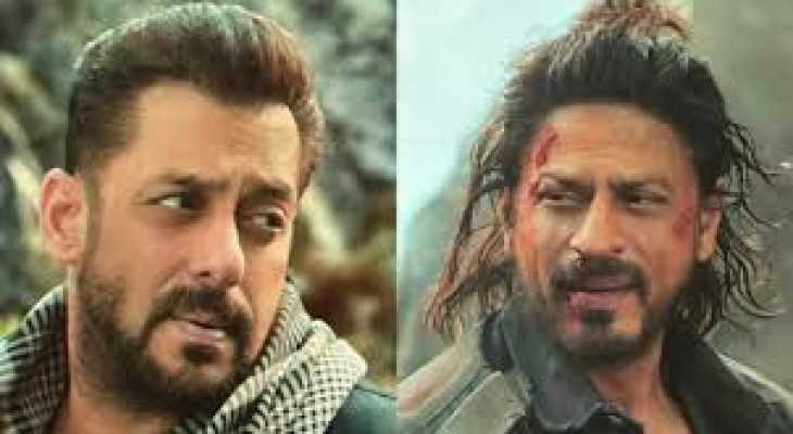 আটকে গেল শাহরুখ-সালমানের ‘টাইগার ভার্সেস পাঠান’
