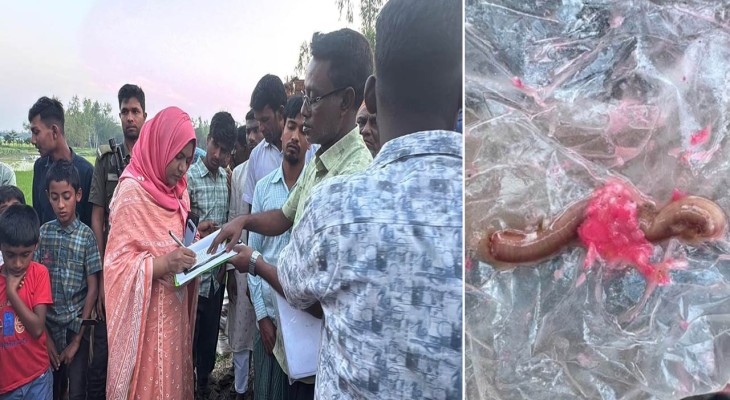 রংপুরের গঙ্গাচড়ায় আইসক্রিমে কেঁচো ৩০ হাজার টাকা জরিমানা