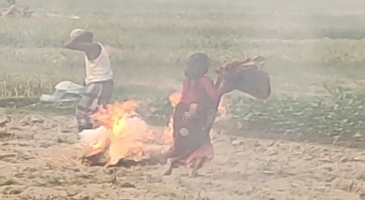 নওগাঁর বদলগাছীতে মৌমাছির আক্রমণ আহত ২