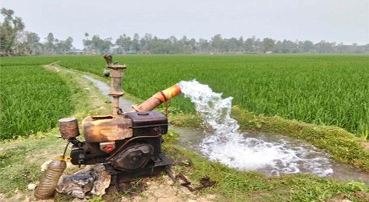 বগুড়ার গাবতলী-সোনাতলায় ডিজেল সংকটে সেচ কাজ ব্যহত