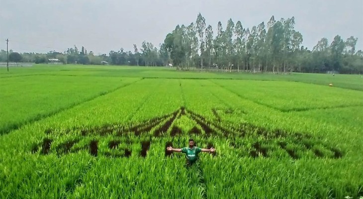কুড়িগ্রামের উলিপুরে ধান ক্ষেতে জ্বলজ্বল করছে স্মৃতিসৌধ