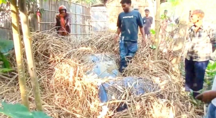 ঠাকুরগাঁও সুগার মিলের ১৬ ড্রাম চিটাগুড় উদ্ধার