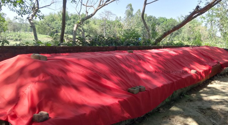 ঠাকুরগাঁওয়ের রাণীশংকৈলে দারগাপীরের ৭০ হাত লম্বা কবর ঘিরে রহস্য!