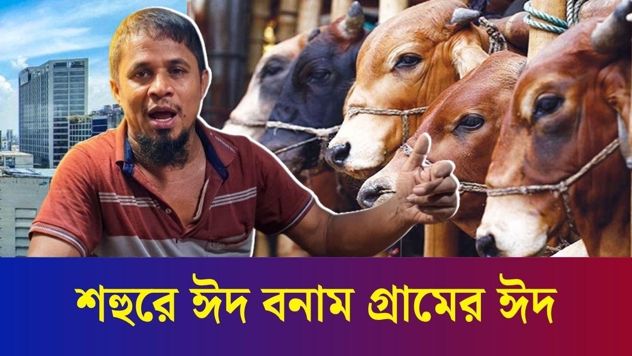 শহরের কোরবানির ঈদ আর গ্রামের কোরবানির ঈদ যেমন হয়